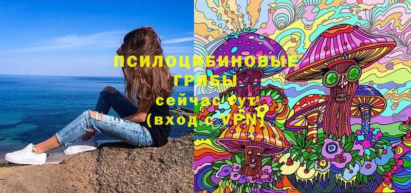 Псилоцибиновые грибы Cubensis  ОМГ ОМГ tor  Бутурлиновка 